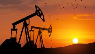 Petrol fiyatı 1 yıl 100 dolarda kalırsa ne olur? 'Şok' deyip a&ccedil;ıkladı