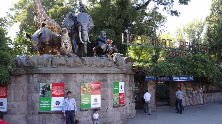 5 yıl önce kapatılan hayvanat bahçesine müdür atandı