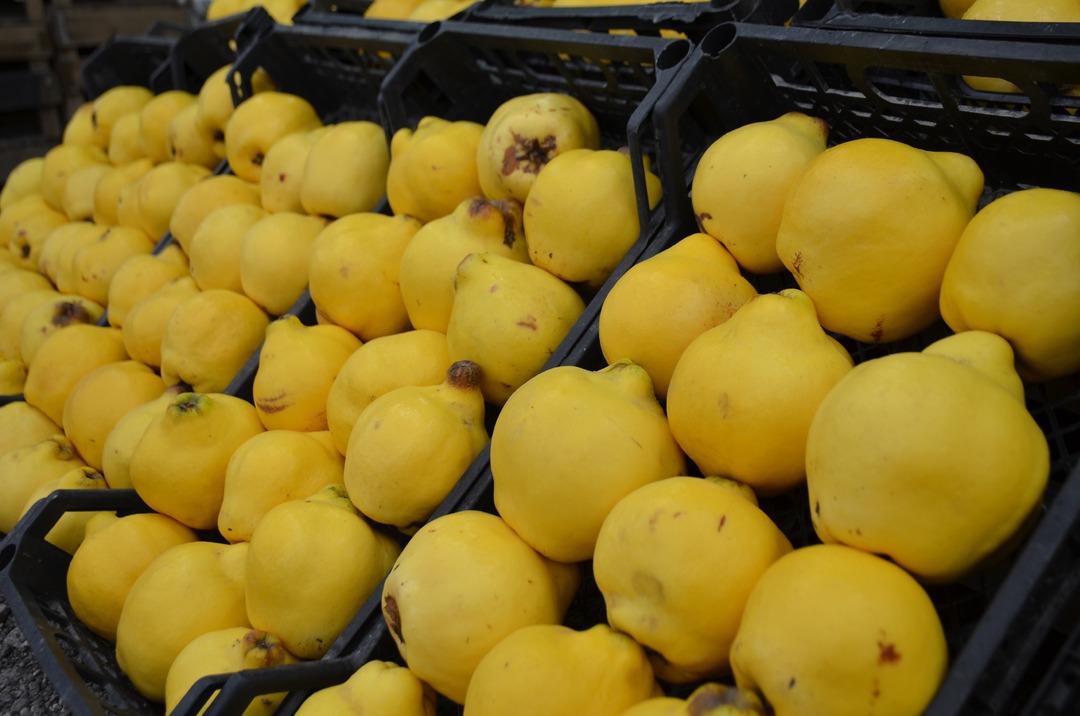 Ayaz vurdu, fiyatlar fırladı:  Az da olsa alıyorlar  2