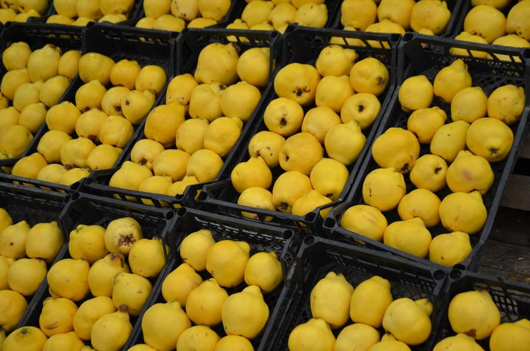 Ayaz vurdu, fiyatlar fırladı:  Az da olsa alıyorlar  3