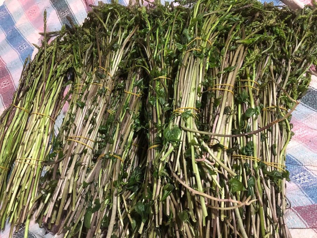 Topladıkları paraya d&ouml;n&uuml;ş&uuml;yor: Kısa s&uuml;rede t&uuml;keniyor 1