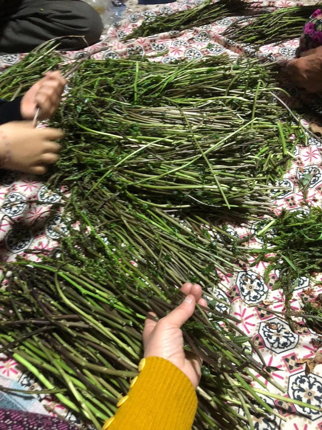 Topladıkları paraya d&ouml;n&uuml;ş&uuml;yor: Kısa s&uuml;rede t&uuml;keniyor 2