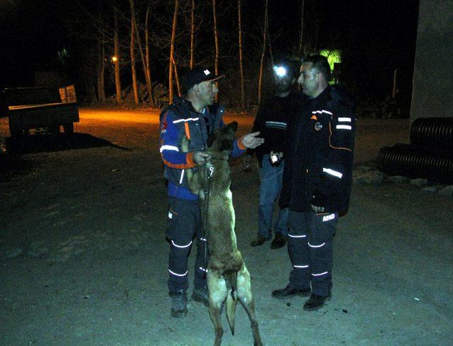 Kaybolan Ege, 12 saat sonra arazide uyurken bulundu