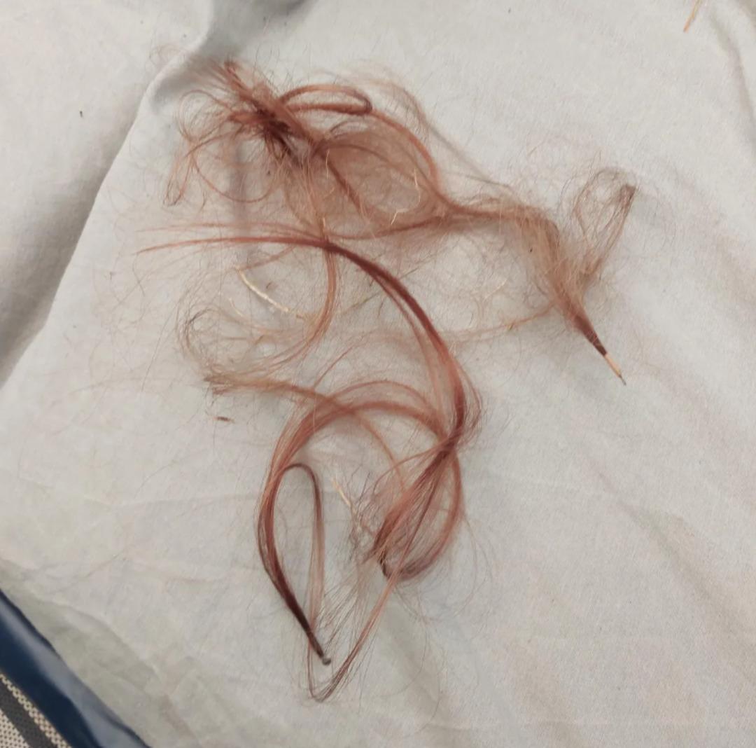 Komşusundan sessiz olmasını isteyince kabusu yaşadı! Sa&ccedil;larını yolup, dişlerini kırdı 2