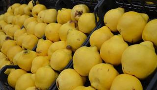 Artık l&uuml;ks meyve kategorisine girdi! Kilosu dudak u&ccedil;uklattı