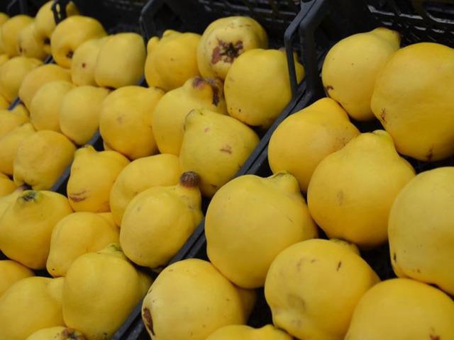 Artık l&uuml;ks meyve kategorisine girdi! Kilosu dudak u&ccedil;uklattı