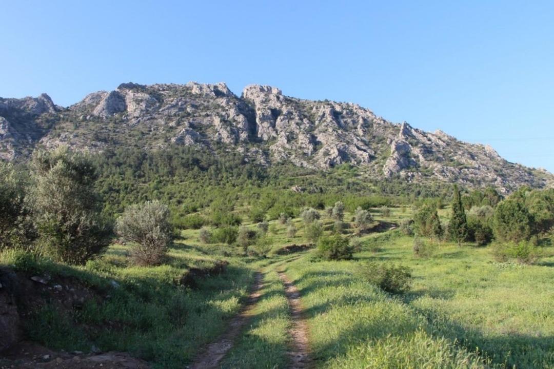 16 bin yıllık tarih g&uuml;n y&uuml;z&uuml;ne &ccedil;ıktı: Adak &ccedil;ukuru bulundu 2