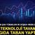 Bug&uuml;n en &ccedil;ok y&uuml;kselen ve d&uuml;şen hisseler: Teknoloji tavan, gıda taban yaptı