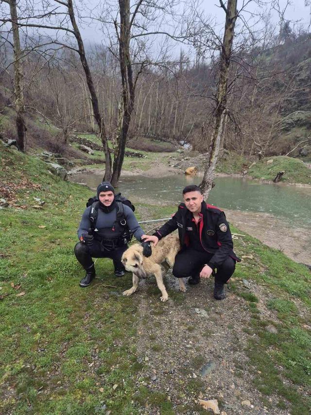 Mahsur kalan k&ouml;peği itfaiye ekipleri kurtardı 1