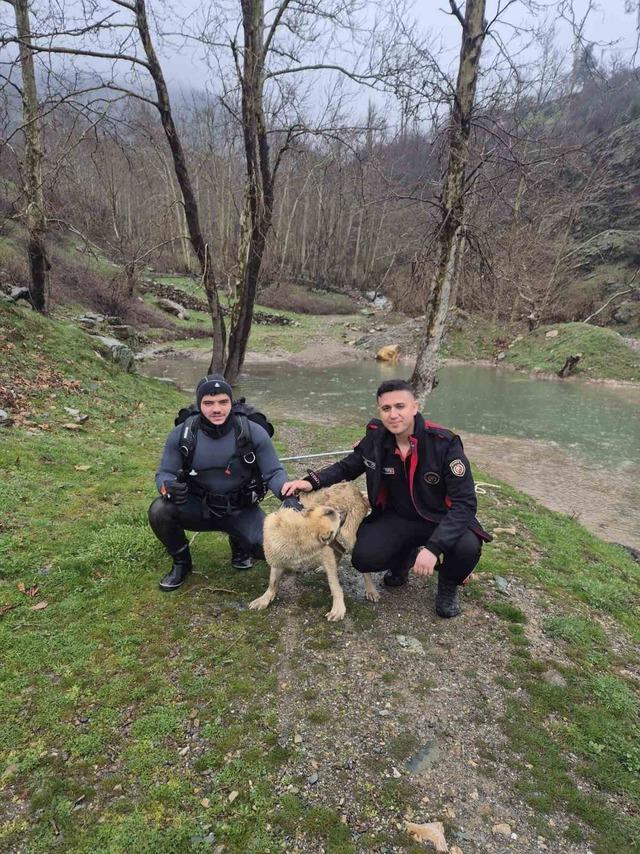 Mahsur kalan k&ouml;peği itfaiye ekipleri kurtardı 2