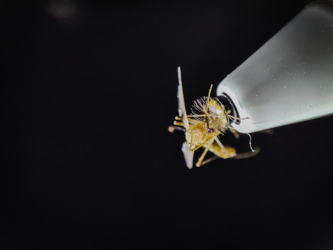 Valizden &ccedil;ıkanlar şoke etti! Satıp resmen servet kazanacaklarmış 2