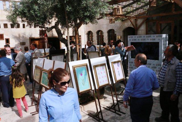 Şanlıurfa’da Osmanlı sanatları sergisi açıldı