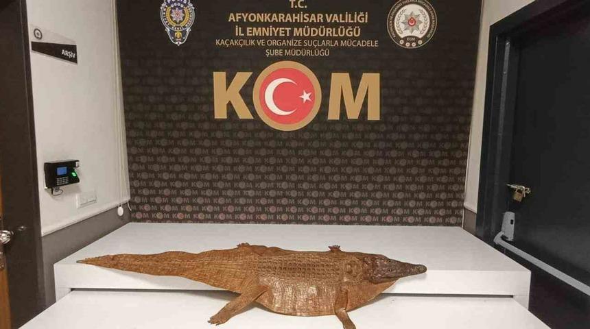 Afyonkarahisar&rsquo;da ara&ccedil;ta timsah derisi ele ge&ccedil;irildi