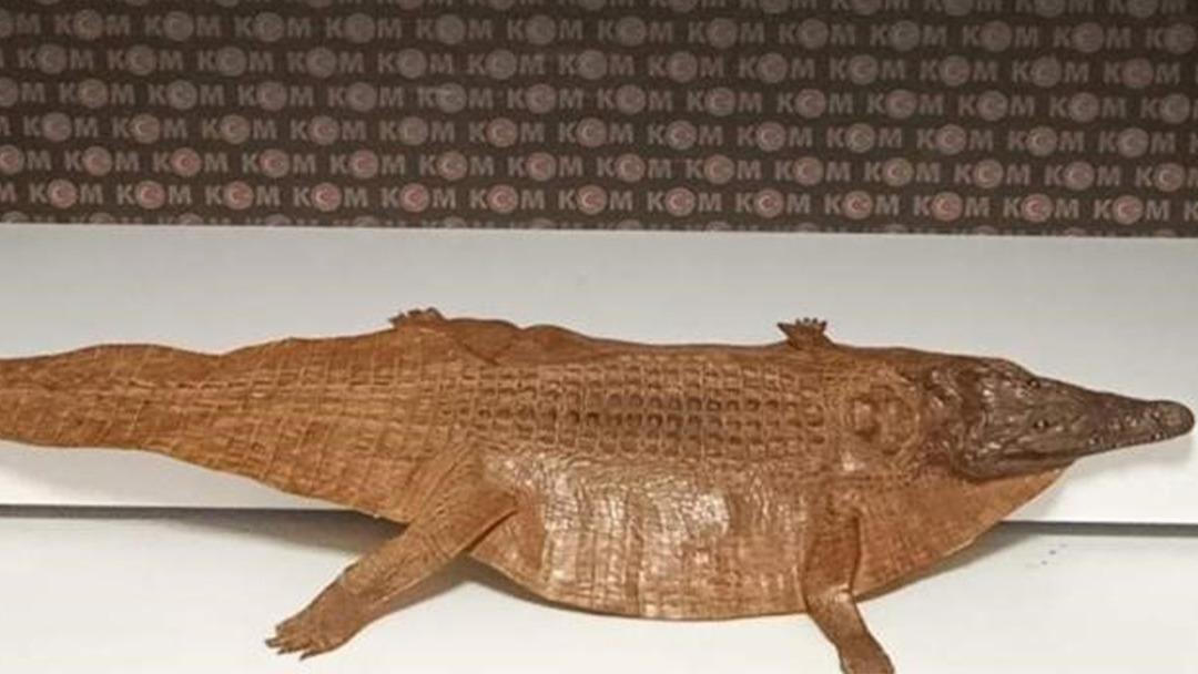 Afyonkarahisar&rsquo;da ara&ccedil;ta timsah derisi ele ge&ccedil;irildi 1