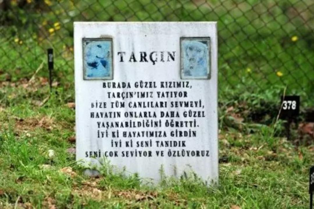 T&uuml;rkiye de bir ilk! Bayramda ziyaret&ccedil;ilerle doldu taştı 11