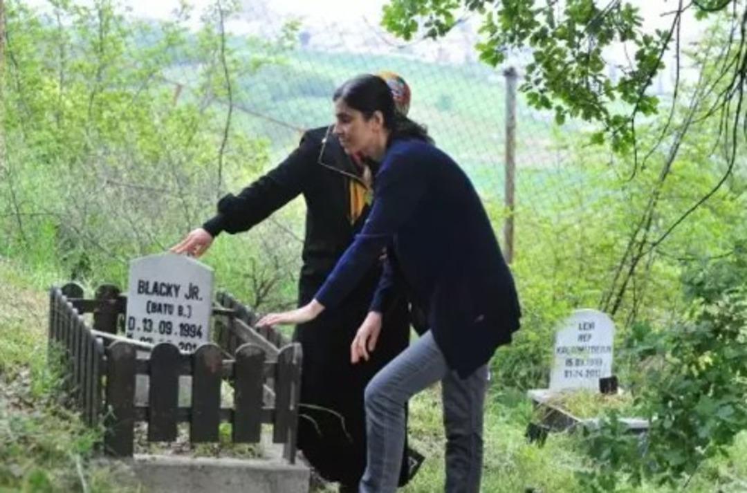 T&uuml;rkiye de bir ilk! Bayramda ziyaret&ccedil;ilerle doldu taştı 10