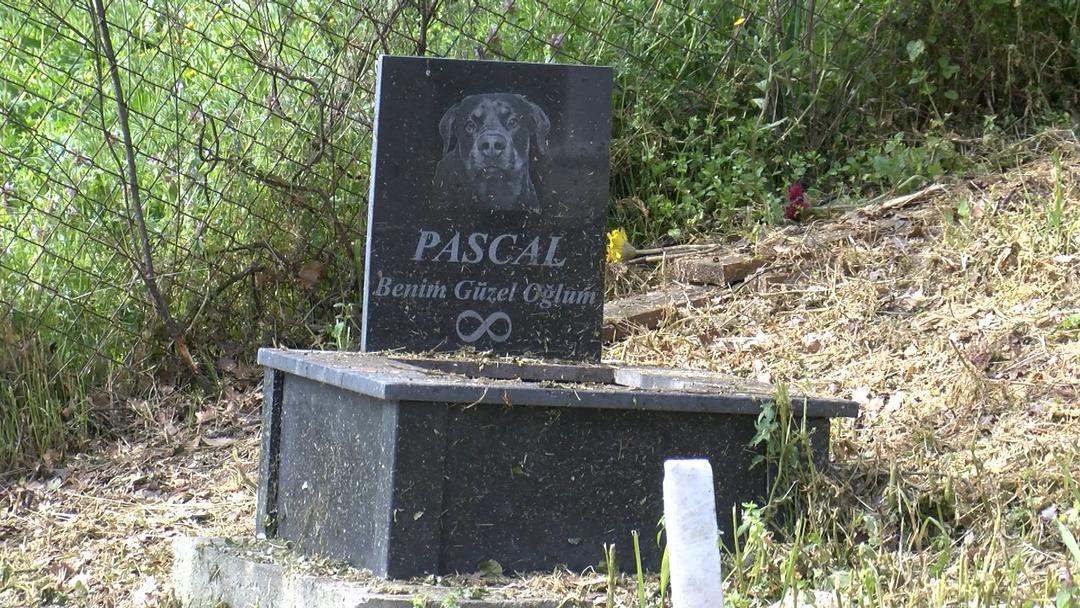 T&uuml;rkiye de bir ilk! Bayramda ziyaret&ccedil;ilerle doldu taştı 7