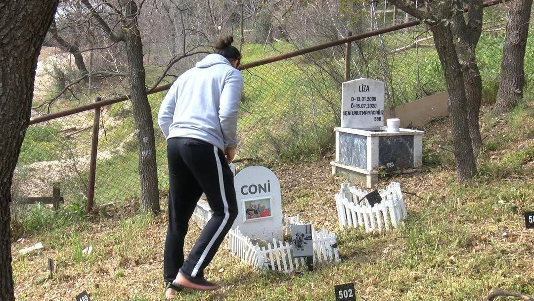 T&uuml;rkiye de bir ilk! Bayramda ziyaret&ccedil;ilerle doldu taştı 5