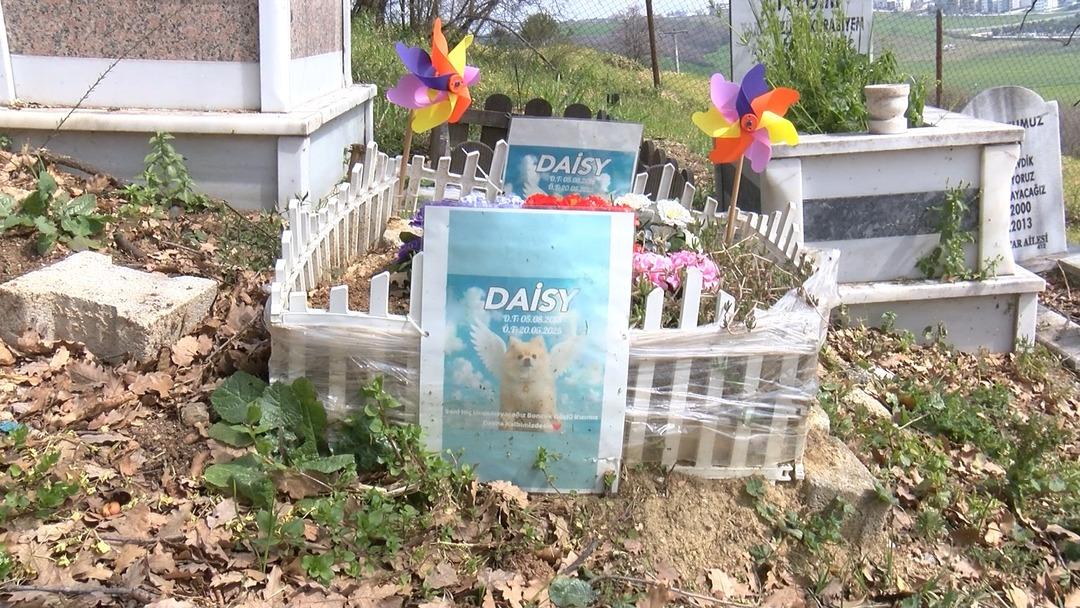 T&uuml;rkiye de bir ilk! Bayramda ziyaret&ccedil;ilerle doldu taştı 1