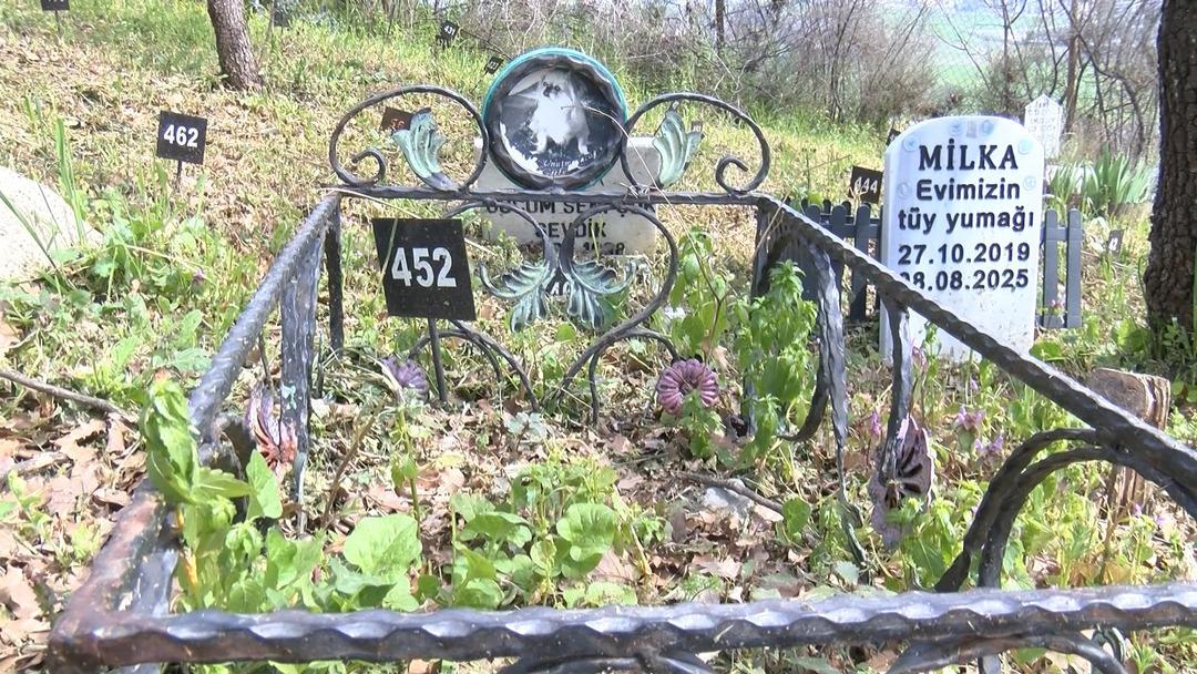 T&uuml;rkiye de bir ilk! Bayramda ziyaret&ccedil;ilerle doldu taştı 2