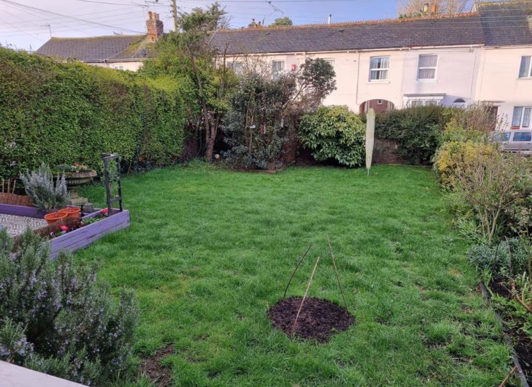 160 yıllık cinayeti k&ouml;pek &ccedil;&ouml;zd&uuml;! Şişenin i&ccedil;inden bakın ne &ccedil;ıktı 3