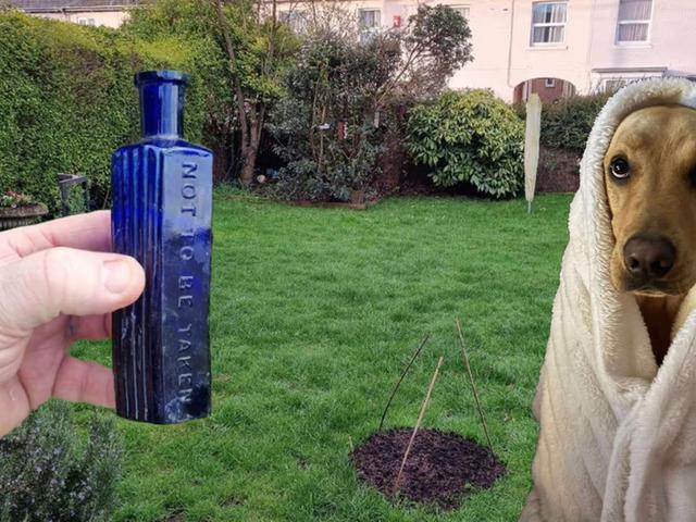 160 yıllık cinayeti k&ouml;pek &ccedil;&ouml;zd&uuml;! Şişenin i&ccedil;inden bakın ne &ccedil;ıktı