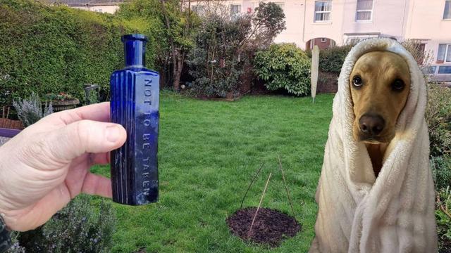 160 yıllık cinayeti köpek çözdü! Şişenin içinden bakın ne çıktı