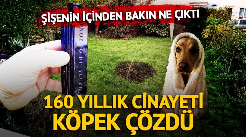 160 yıllık cinayeti k&ouml;pek &ccedil;&ouml;zd&uuml;! Şişenin i&ccedil;inden bakın ne &ccedil;ıktı