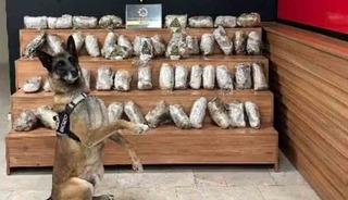 Şanlıurfa&rsquo;da 17 kilo 550 gram skunk ele ge&ccedil;irildi