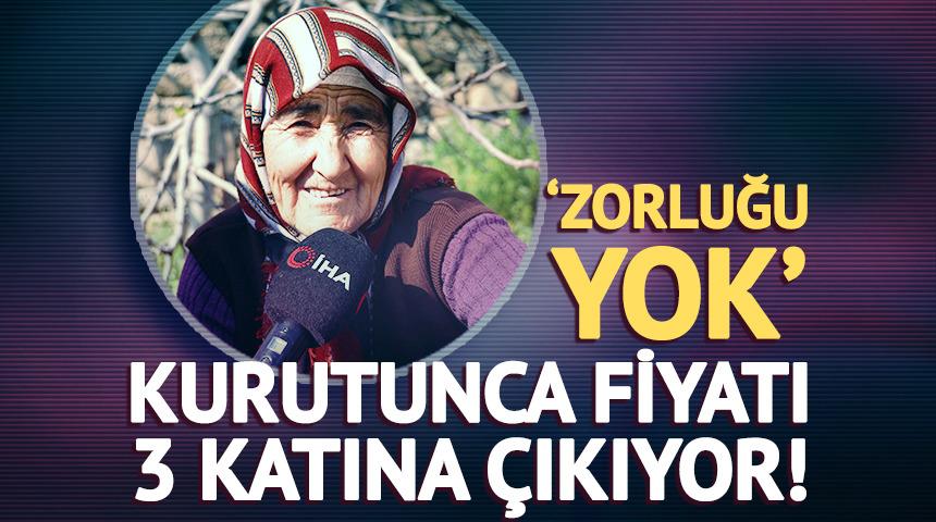 Kurutunca fiyatı 3 katına &ccedil;ıkıyor! &lsquo;Zorluğu yok&rsquo;