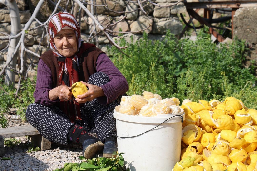 Tazesi 20 TL, kurutulmuş kabuğu 65 TL: Kadınların elinde değerleniyor 1