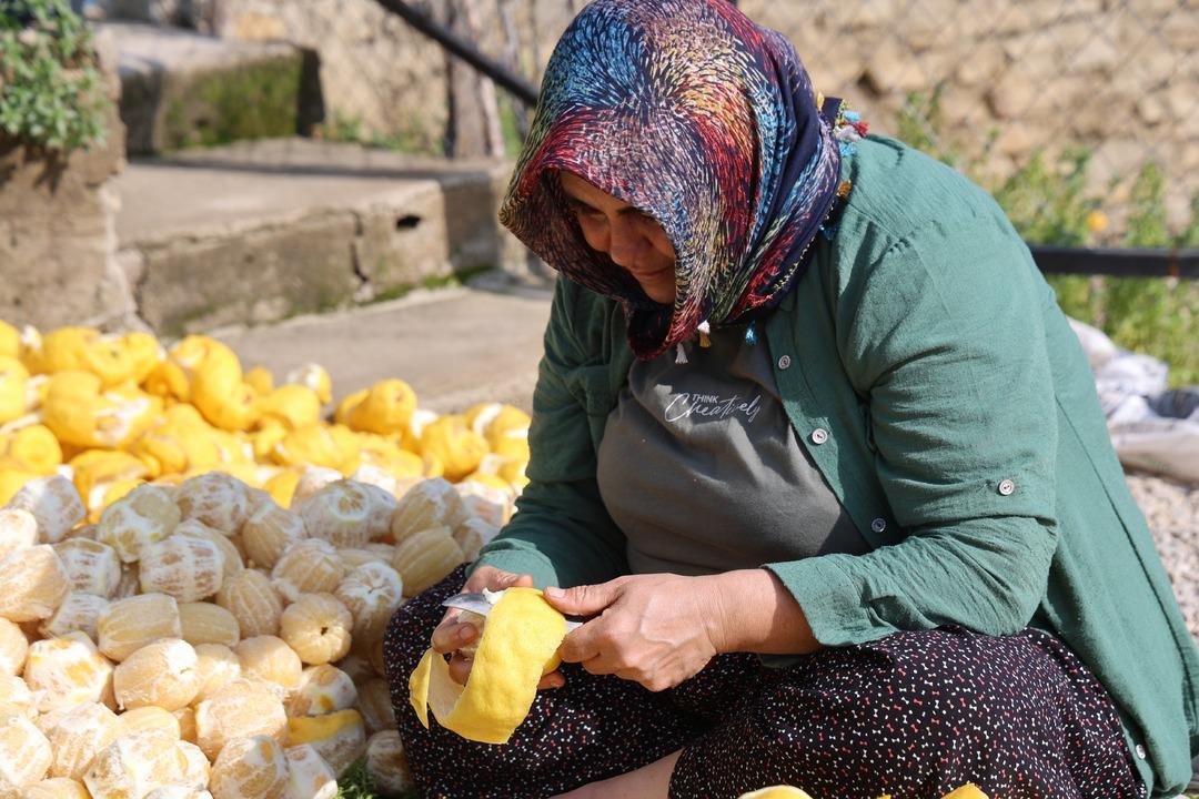 Tazesi 20 TL, kurutulmuş kabuğu 65 TL: Kadınların elinde değerleniyor 3
