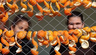 Tazesi 20 TL, kurutulmuş kabuğu 65 TL!