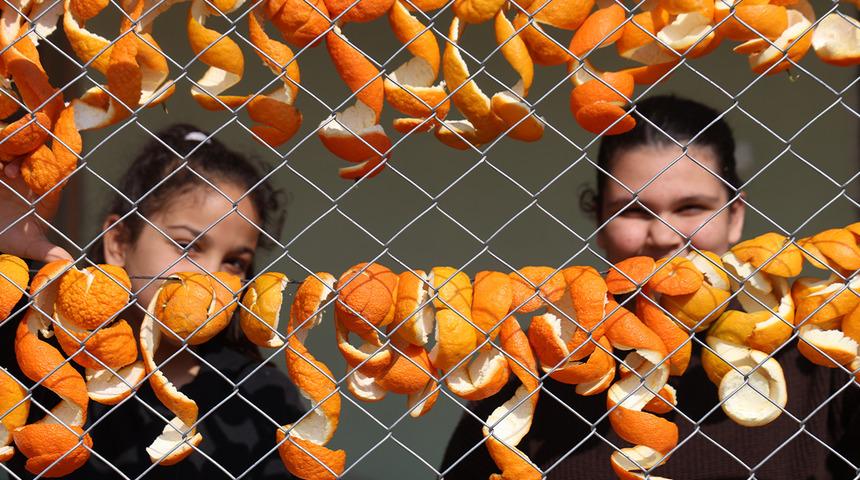 Tazesi 20 TL, kurutulmuş kabuğu 65 TL: Kadınların elinde değerleniyor