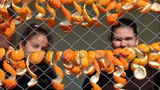 Tazesi 20 TL, kurutulmuş kabuğu 65 TL: Kadınların elinde değerleniyor