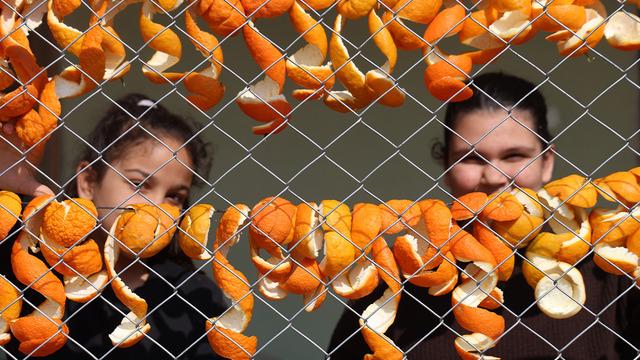 Tazesi 20 TL, kurutulmuş kabuğu 65 TL: Kadınların elinde değerleniyor