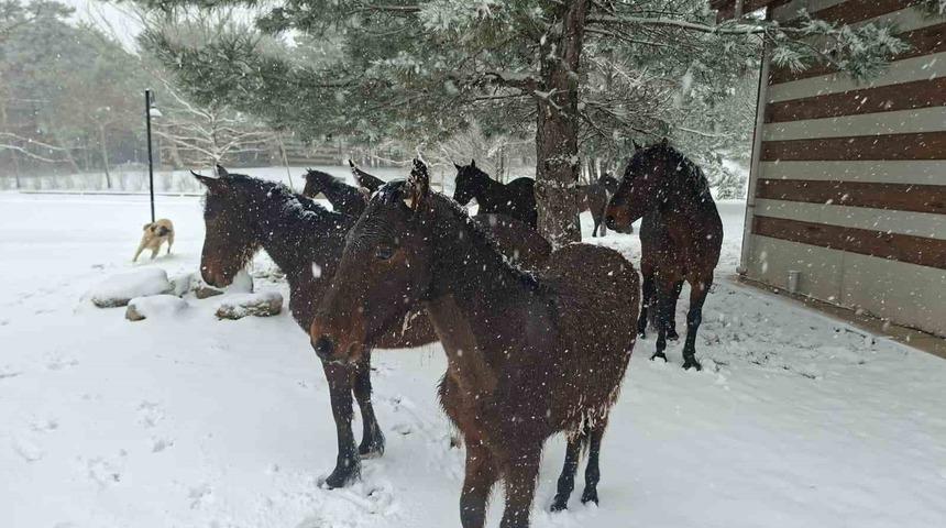Bayramda Spil&rsquo;e kar s&uuml;rprizi