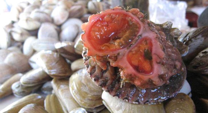 Hiç birinin canavardan farkı yok! Derin mavinin korkunç yüzü G5