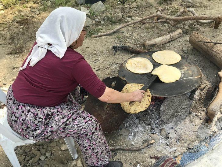 Canli Yaşli Köylü Çoban Şişko Türk