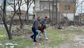 Başıboş k&ouml;peğin saldırdığı 3 yaşındaki &ccedil;ocuk ağır yaralandı