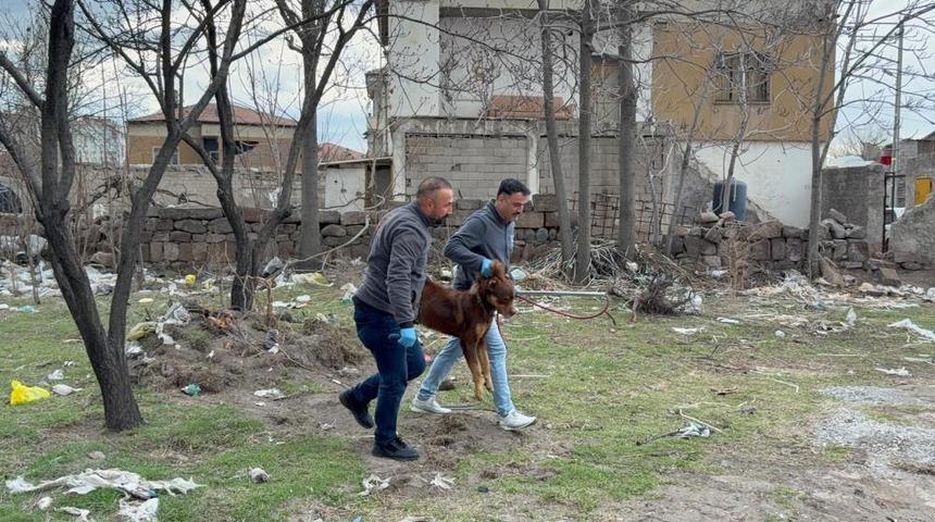 Başıboş k&ouml;peğin saldırdığı 3 yaşındaki &ccedil;ocuk ağır yaralandı