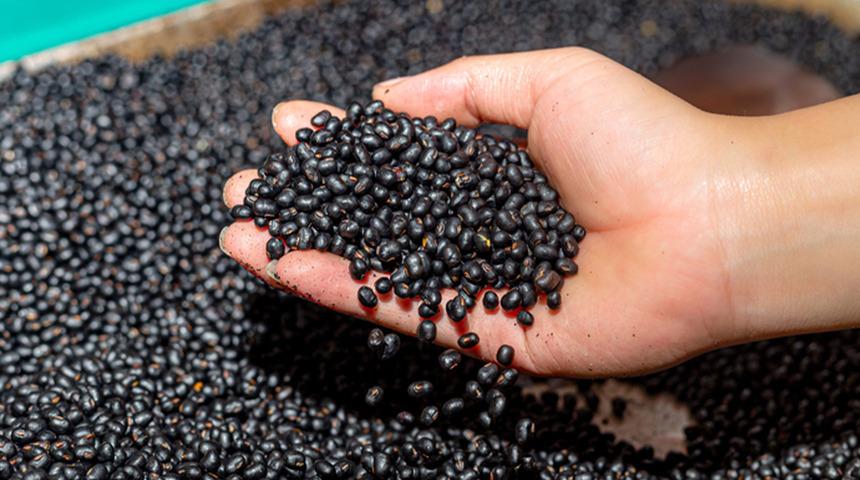 Mutfağın 'gizli g&uuml;c&uuml;' se&ccedil;ildi: Kilo kontrol&uuml;nden kalp sağlığına kadar faydalı!