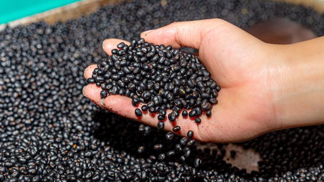 Mutfağın 'gizli gücü' seçildi: Kilo kontrolünden kalp sağlığına kadar faydalı!