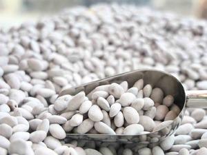 &lsquo;Beyaz altın&rsquo; raflara &ccedil;ıktı