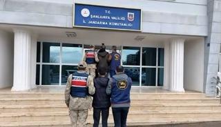 Şanlıurfa&rsquo;da aranan 2 h&uuml;k&uuml;ml&uuml; yakalandı