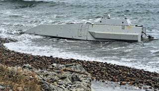 Ordu'da kıyıya vurdu! B&ouml;lgeden ilk g&ouml;r&uuml;nt&uuml;ler geldi