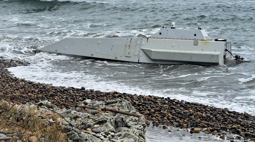 Ordu'da kıyıya vurdu! B&ouml;lgeden ilk g&ouml;r&uuml;nt&uuml;ler geldi