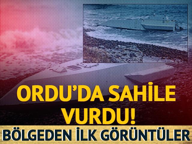 Ordu'da kıyıya vurdu! B&ouml;lgeden ilk g&ouml;r&uuml;nt&uuml;ler geldi