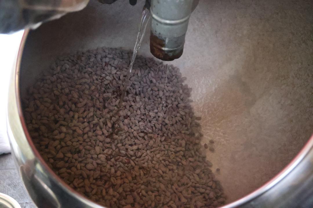 29 günde 10 ton sattı! Çerez gibi yiyorlar 2