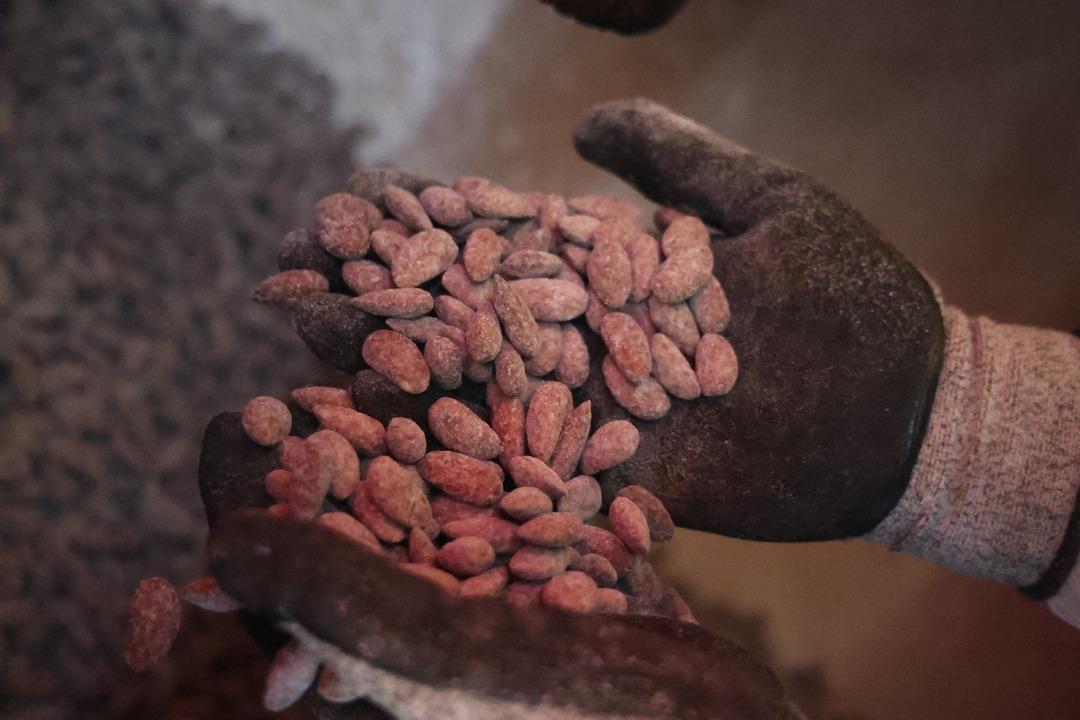 29 günde 10 ton sattı! Çerez gibi yiyorlar 3